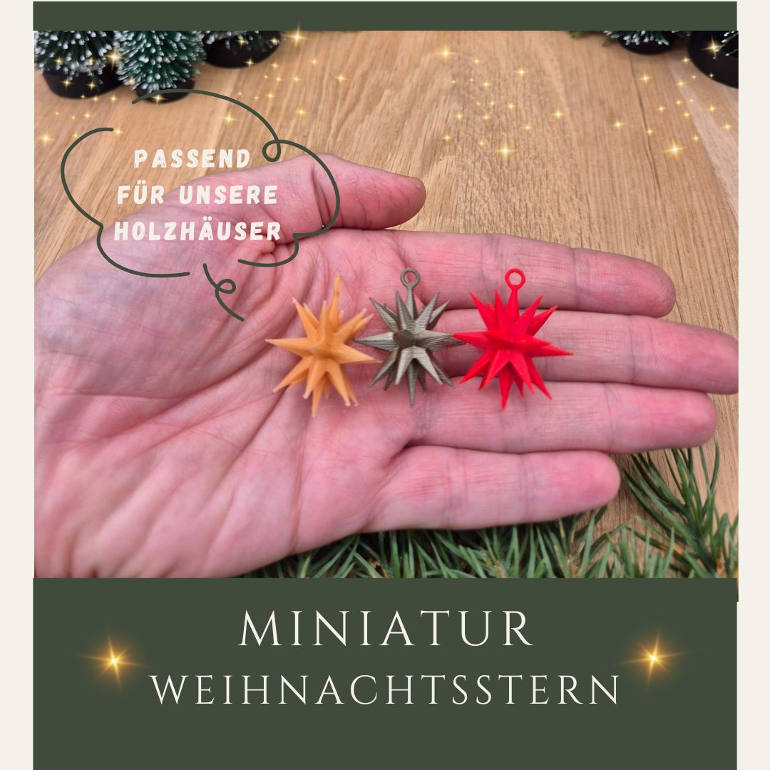 Miniatur Weihnachtstern in 3 Farben