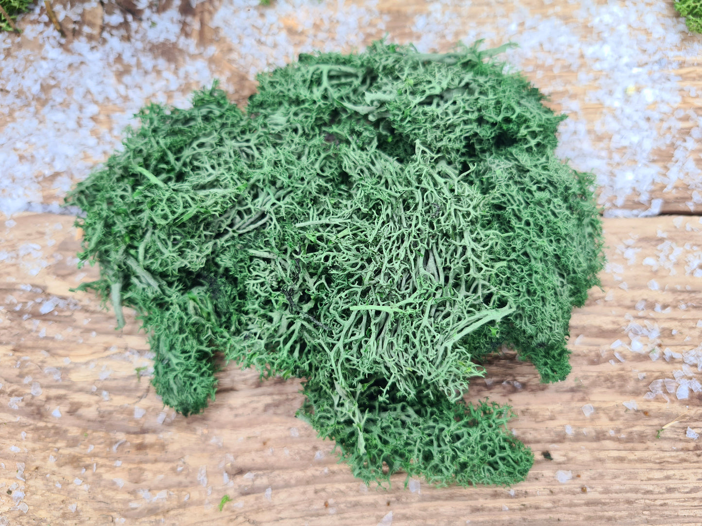 Wichtelzubehör Moos