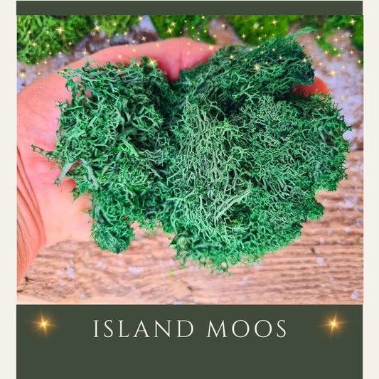 Wichtelzubehör Moos