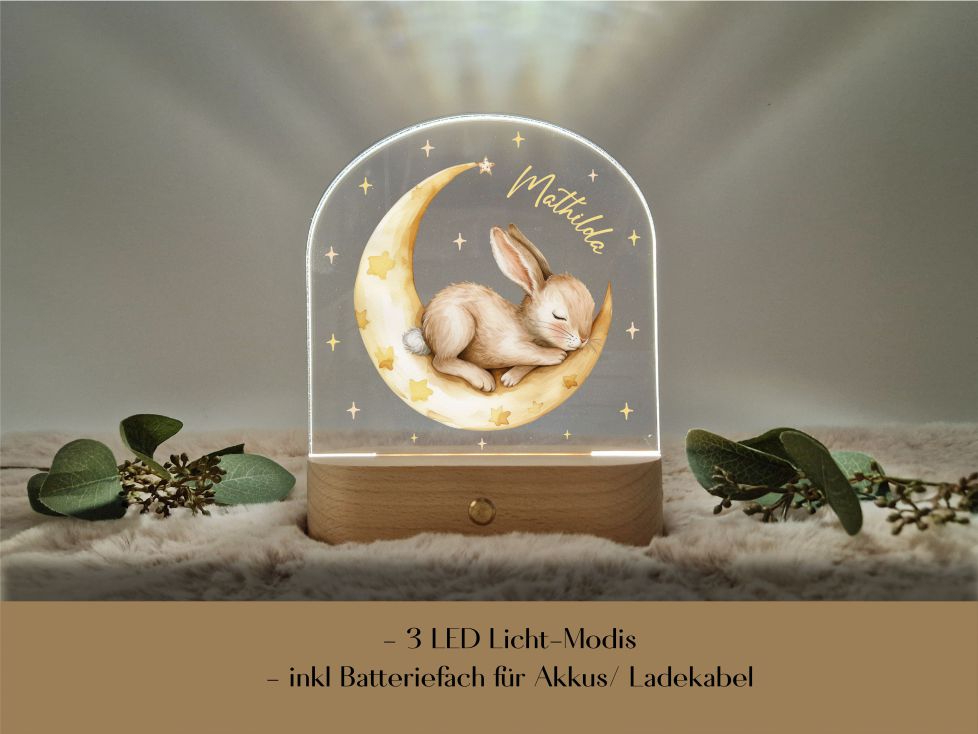 Nachtlicht -schlafender Hase auf dem Mond