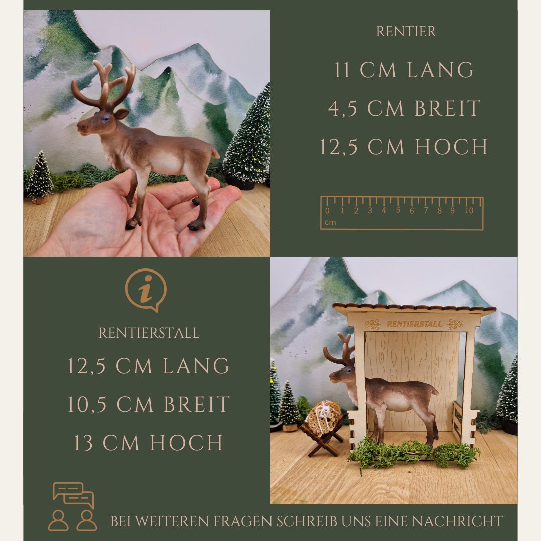 Rentierstall mit Rentier und Futterkrippe