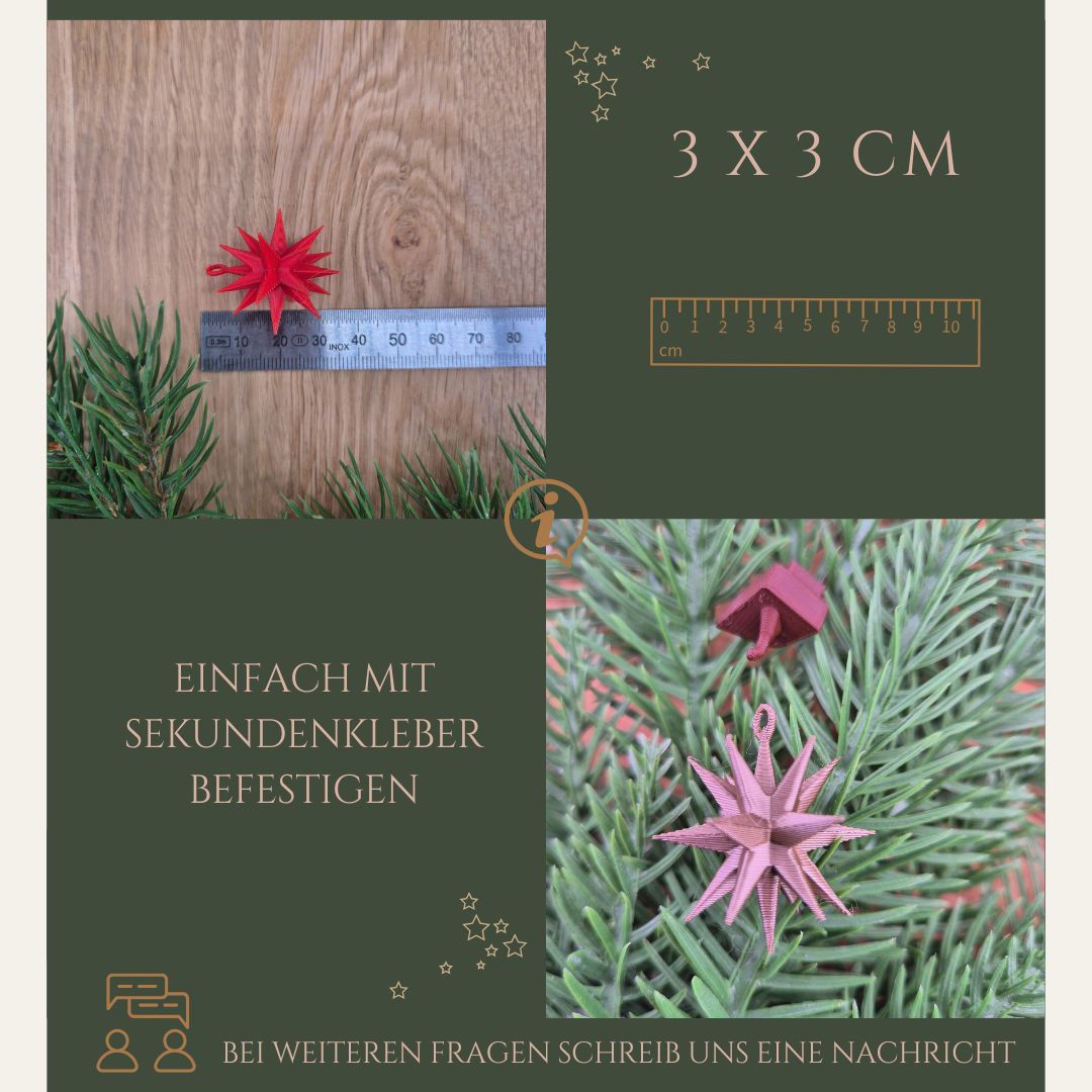Miniatur Weihnachtstern in 3 Farben