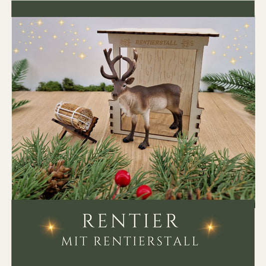 Rentierstall mit Rentier und Futterkrippe